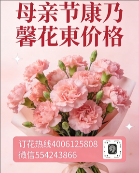 南昌安义县花店母亲节康乃馨花束